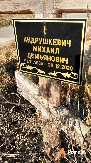 Андрушкевич Михаил Демьянович