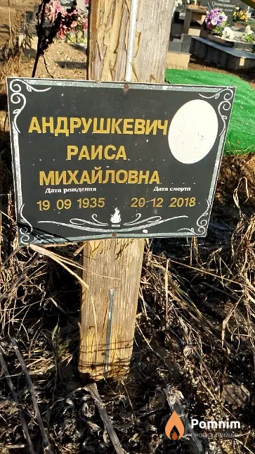 Андрушкевич Раиса Михайловна