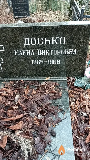 Досько Елена Викторовна