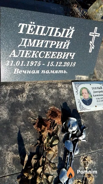 Тёплый Дмитрий Алексеевич