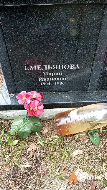 Емельянова Мария Ивановна