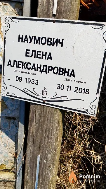 Наумович Елена Александровна
