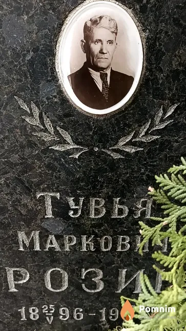 Розин Тувья Маркович