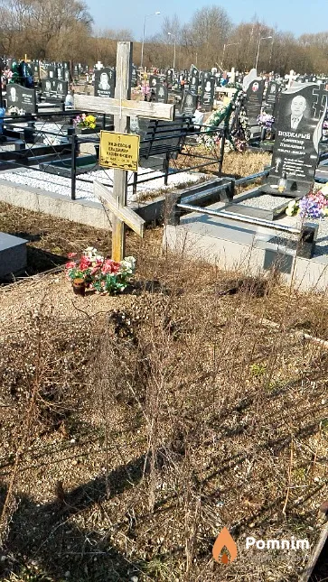 Жизневский Владимир Казимирович