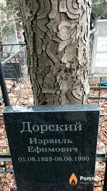 Дорский Израиль Ефимович