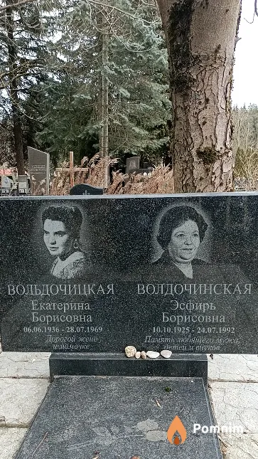 Вольдочицкая Екатерина Борисовна