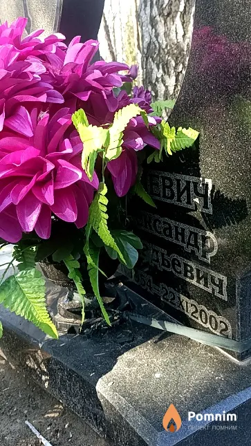 Малевич Александр Аркадьевич