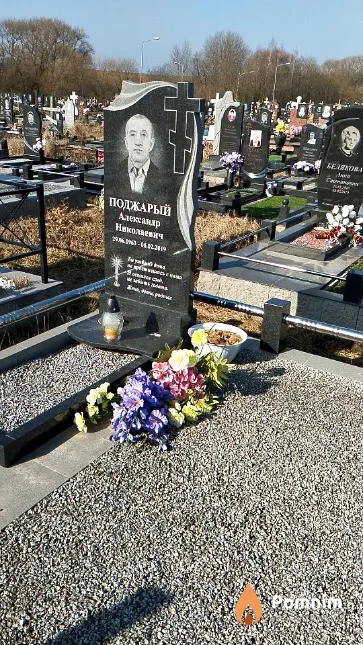 Поджарый Александр Николаевич