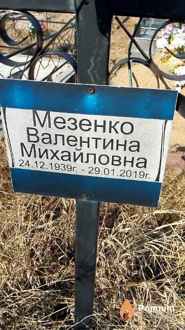 Мезенко Валентина Михайловна