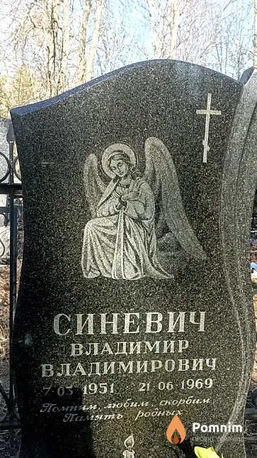 Синевич Владимир Владимирович