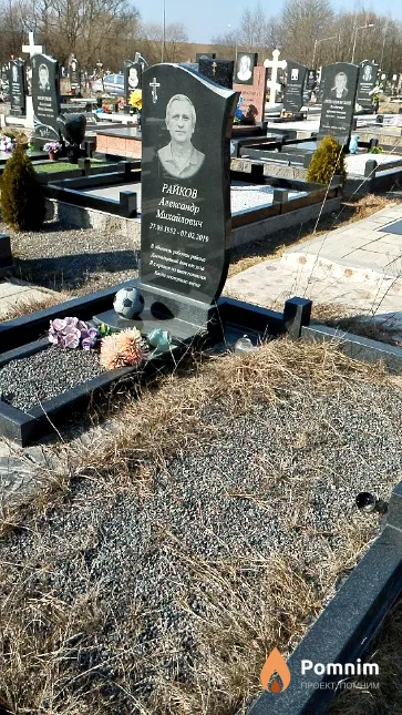 Райков Александр Михайлович