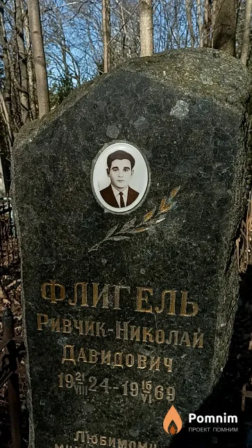 Флигель Ривчик-Николай Давидович