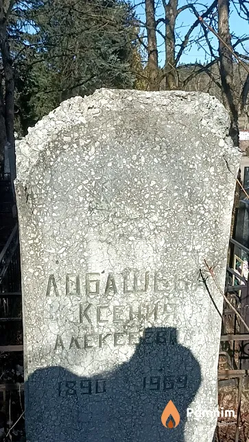 Лобашева Ксения Алексеевна