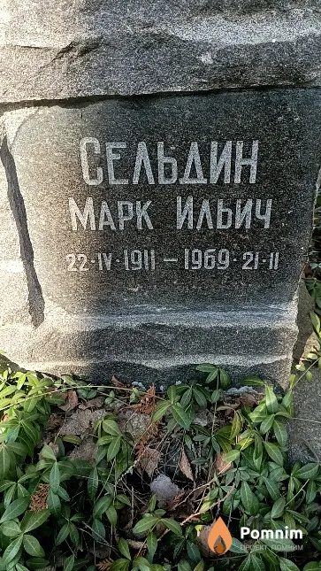 Сельдин Марк Ильич