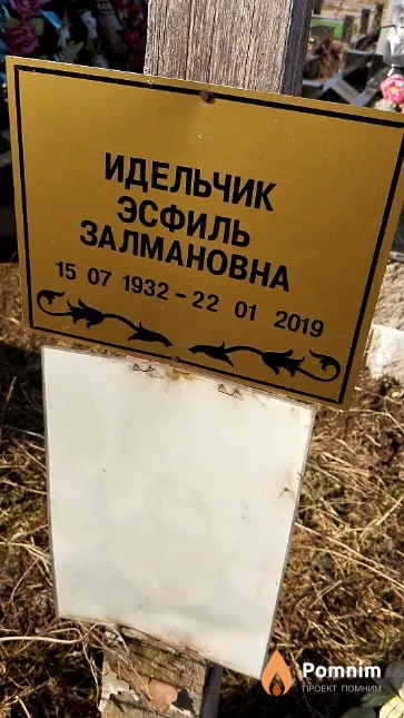 Идельчик Эсфиль Залмановна