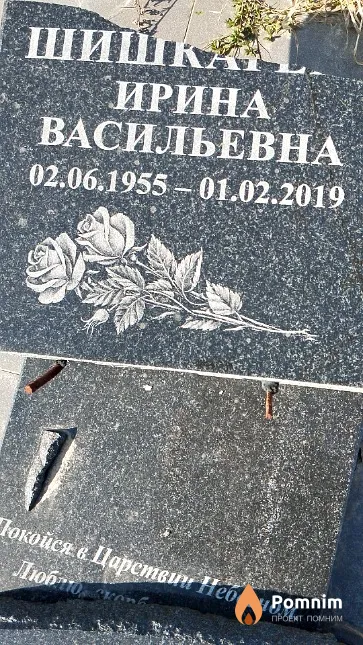 Шишкарёва Ирина Васильевна