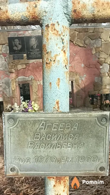 Агеева Василиса Васильевна