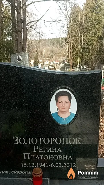Золоторонок Регина Платоновна