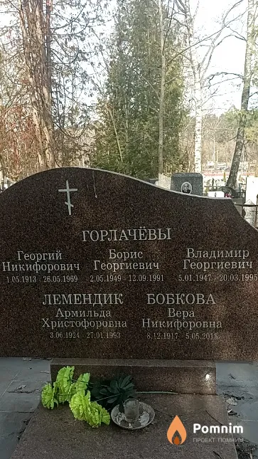 Горлачёв Владимир Георгиевич