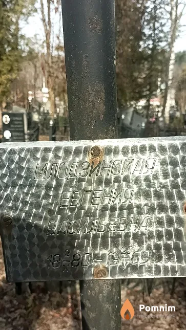 Млодзинская Евгения Васильевна