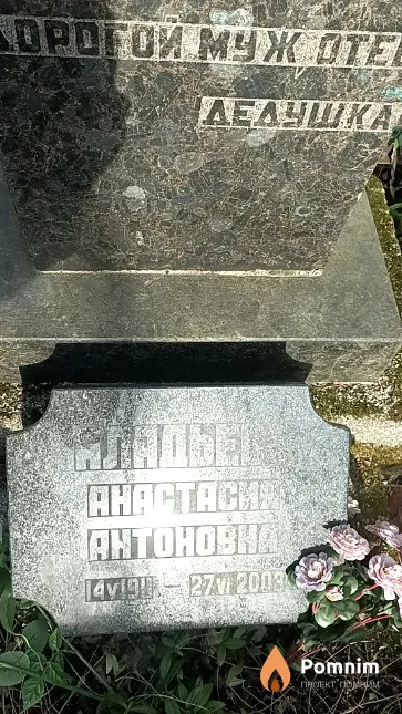 Аладьева Анастасия Антоновна