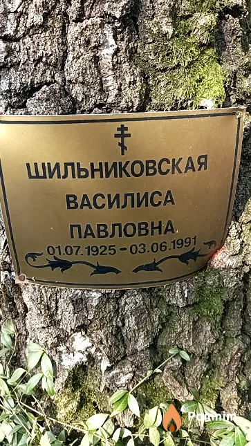 Шильниковская Василиса Павловна