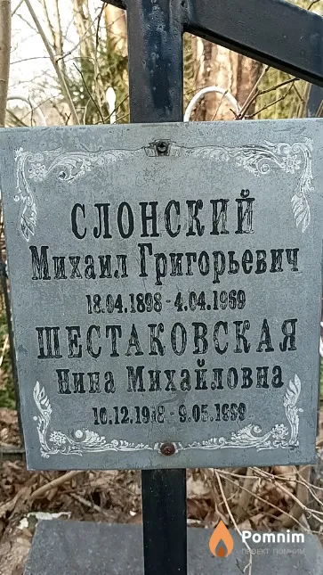Слонский Михаил Григорьевич