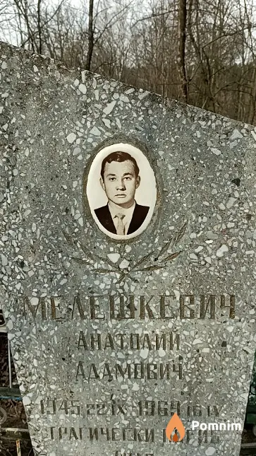 Мелешкевич Анатолий Адамович