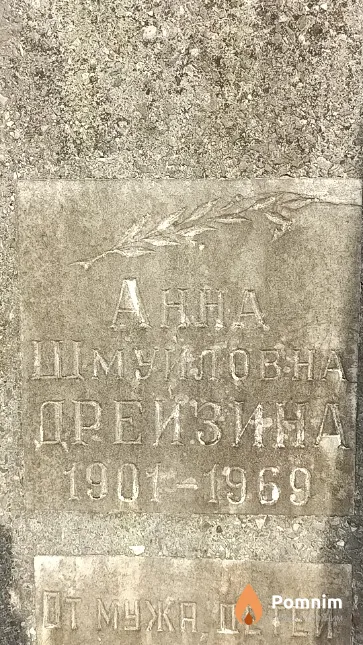 Дрейзина Анна Шмуйловна