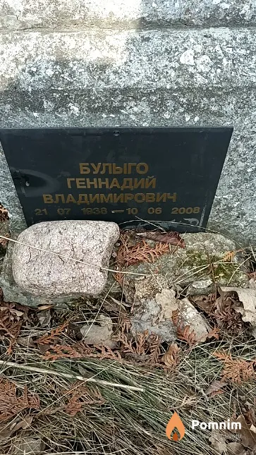 Булыго Геннадий Владимирович