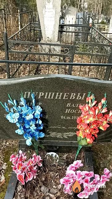 Пуршнев Александр Алексеевич