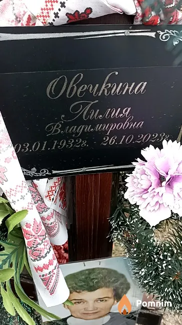 Овечкина Лилия Владимировна