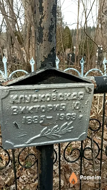 Клусковская Виктория Ю.