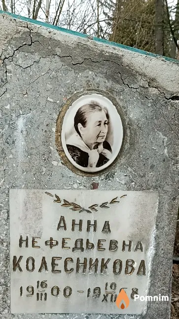 Колесникова Анна Нефедьевна