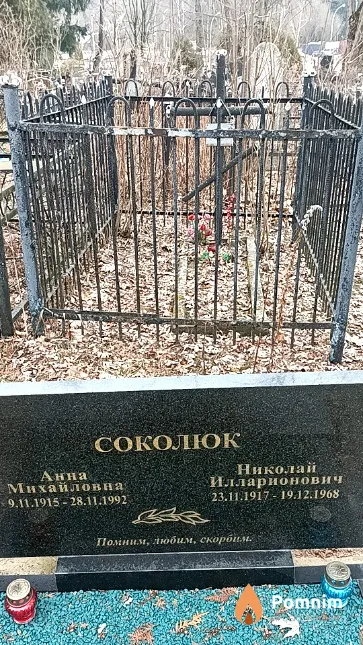 Соколюк Анна Михайловна