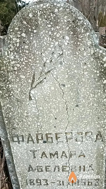Фарберова Тамара Абелевна