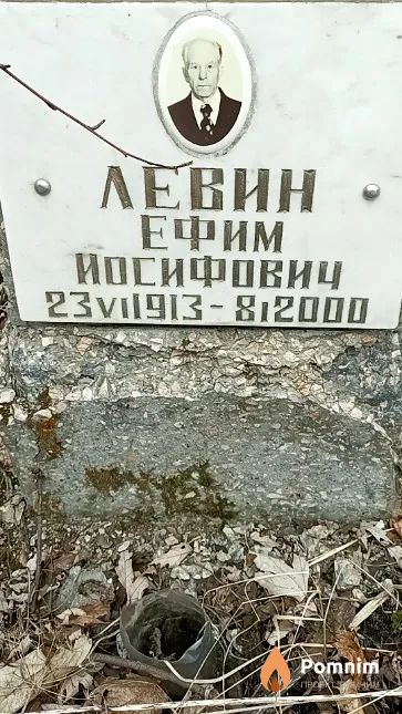 Левина Леша Давидовна