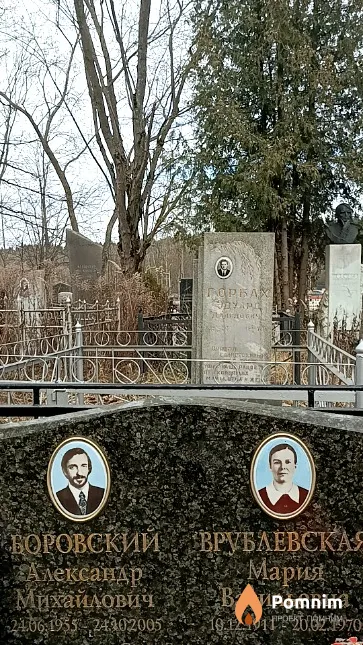 Боровский Александр Михайлович