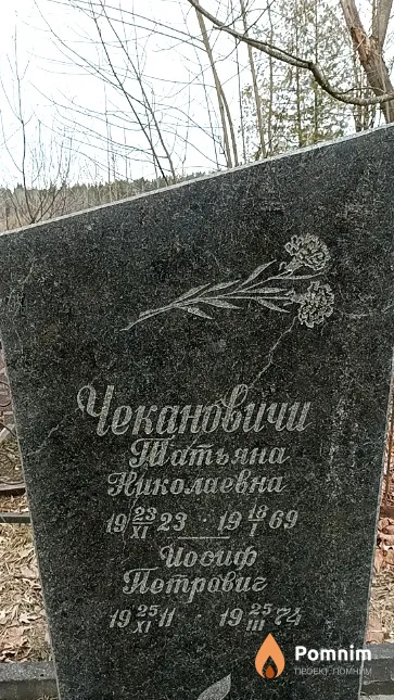 Чеканович Татьяна Николаевна