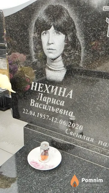 Нехина Лариса Васильевна