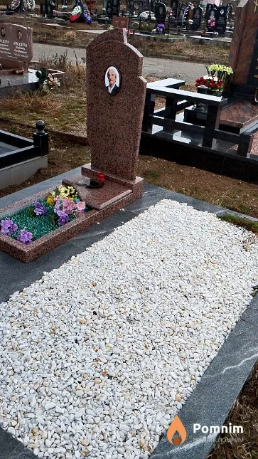 Давидович Владимир Петрович