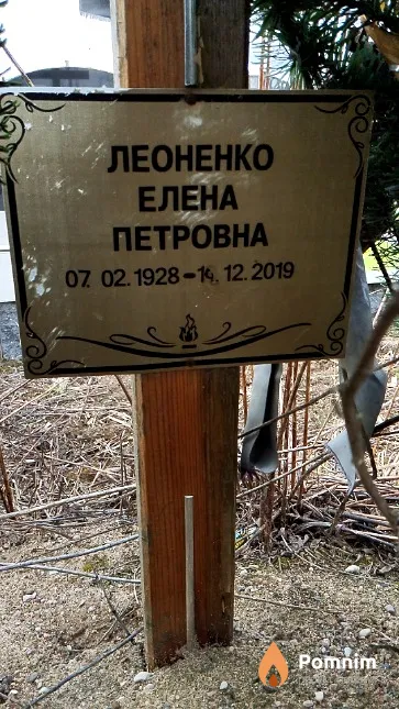 Леоненко Елена Петровна
