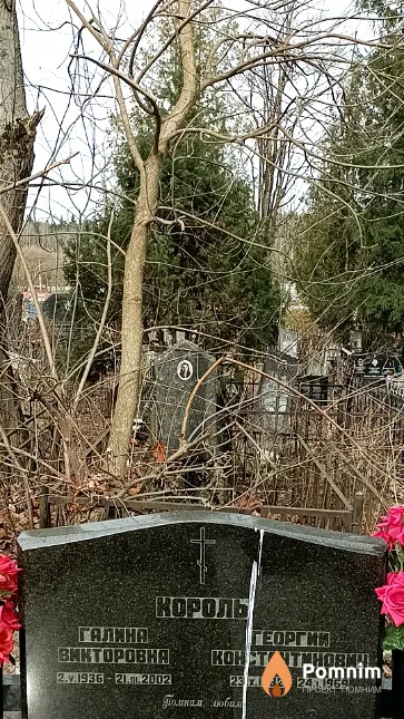 Король Галина Викторовна