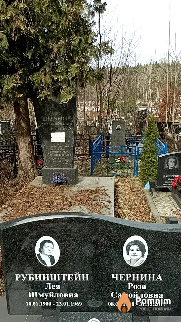 Рубинштейн Лея Шмуйловна