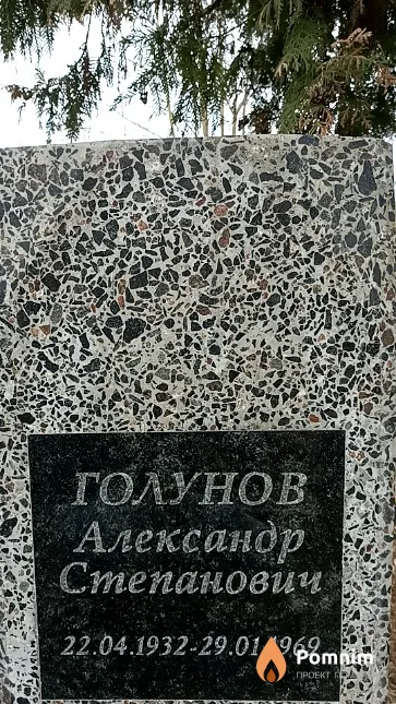 Голунова Вера Игоревна