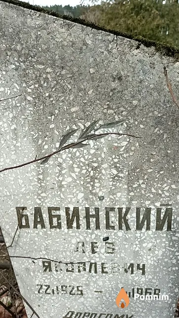 Бабинский Лев Яковлевич