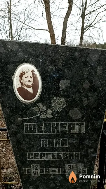 Шейнерт Анна Сергеевна