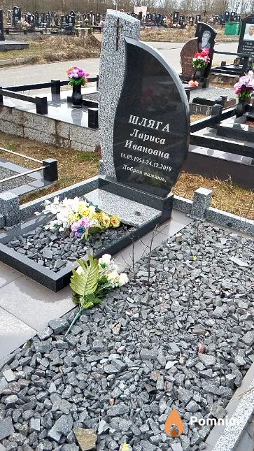 Шляга Лариса Ивановна