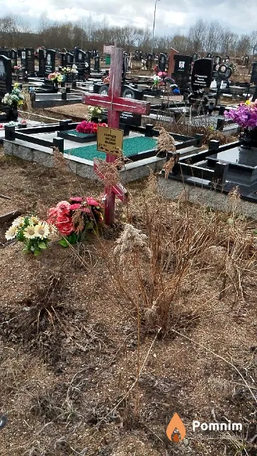 Свиридов Николай Иванович