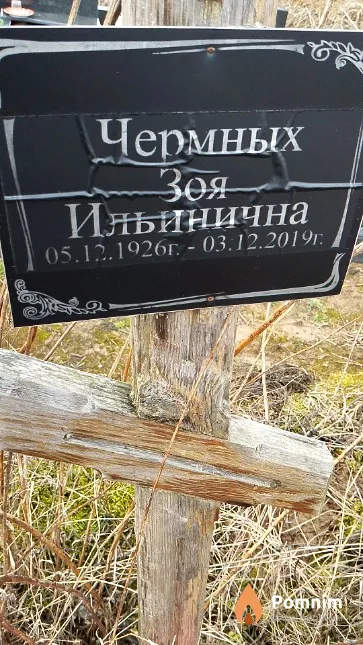 Чермных Зоя Ильиничнв